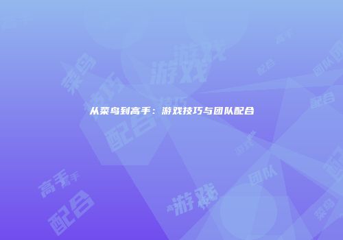 从菜鸟到高手：游戏技巧与团队配合