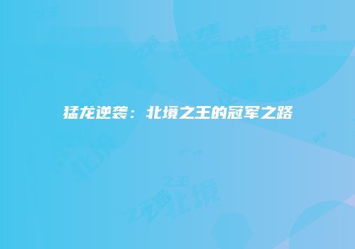 猛龙逆袭：北境之王的冠军之路
