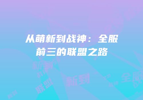 从萌新到战神：全服前三的联盟之路