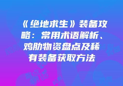 《绝地求生》装备攻略：常用术语解析、鸡肋物资盘点及稀有装备获取方法