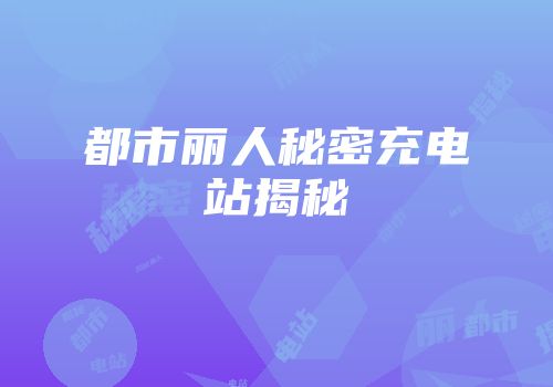 都市丽人秘密充电站揭秘