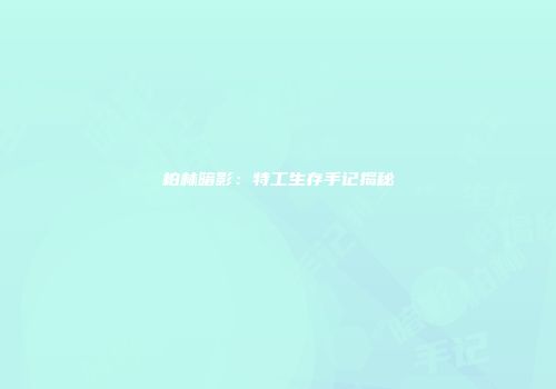 柏林暗影：特工生存手记揭秘