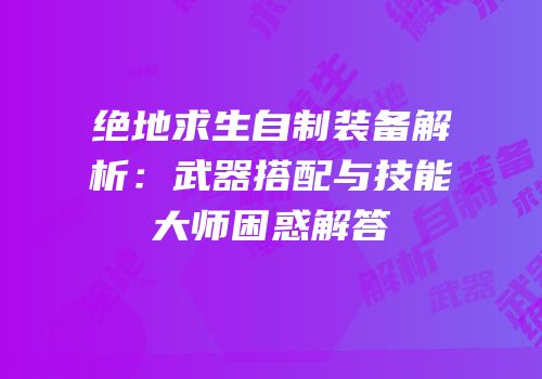 绝地求生自制装备解析：武器搭配与技能大师困惑解答