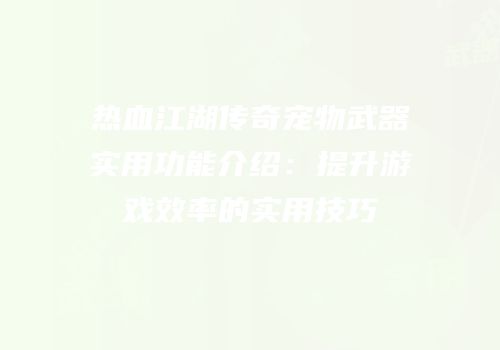 热血江湖传奇宠物武器实用功能介绍：提升游戏效率的实用技巧