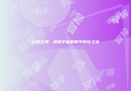 分形空间：微观宇宙的数学冒险之旅