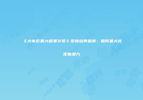 《大电影第六版赛尔号》宠物培养指南：如何最大化宠物潜力