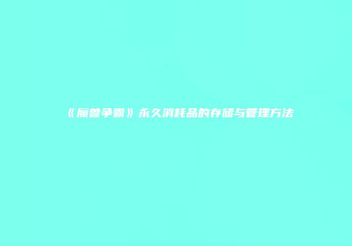 《魔兽争霸》永久消耗品的存储与管理方法