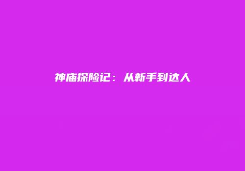 神庙探险记：从新手到达人