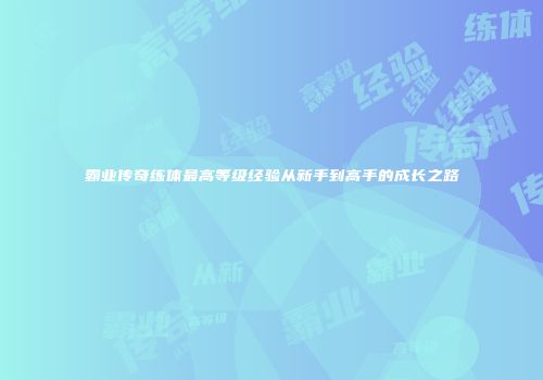 霸业传奇练体最高等级经验从新手到高手的成长之路