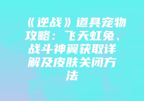 《逆战》道具宠物攻略：飞天虹兔、战斗神翼获取详解及皮肤关闭方法