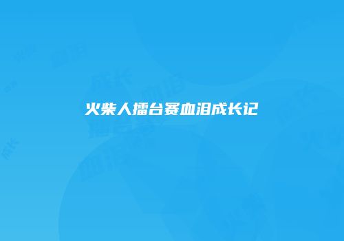 火柴人擂台赛血泪成长记