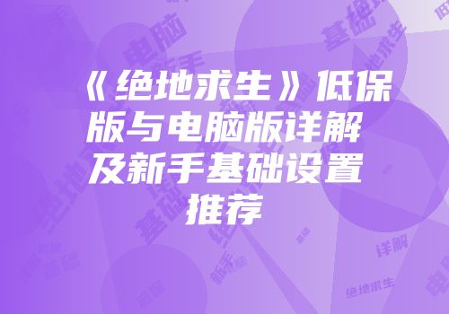 《绝地求生》低保版与电脑版详解及新手基础设置推荐