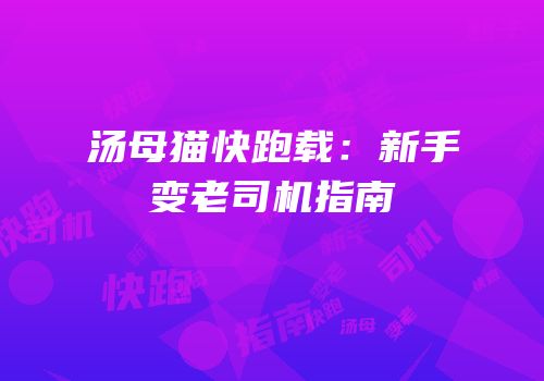 汤母猫快跑载：新手变老司机指南