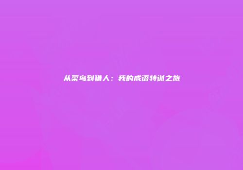 从菜鸟到猎人：我的成语特训之旅