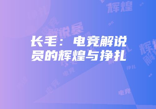 长毛：电竞解说员的辉煌与挣扎