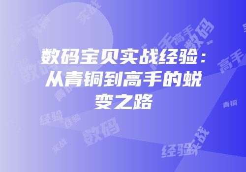 数码宝贝实战经验：从青铜到高手的蜕变之路