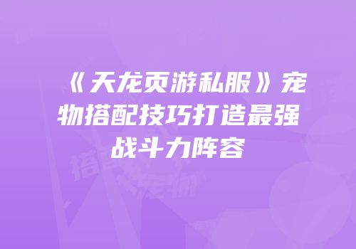《天龙页游私服》宠物搭配技巧打造最强战斗力阵容