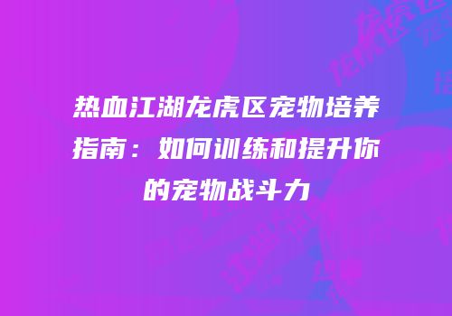 热血江湖龙虎区宠物培养指南：如何训练和提升你的宠物战斗力