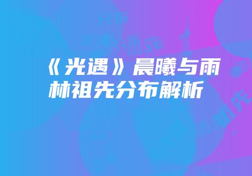 《光遇》晨曦与雨林祖先分布解析