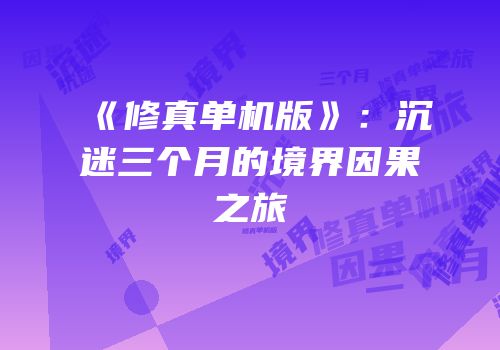 《修真单机版》：沉迷三个月的境界因果之旅