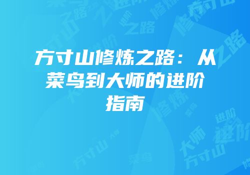 方寸山修炼之路：从菜鸟到大师的进阶指南