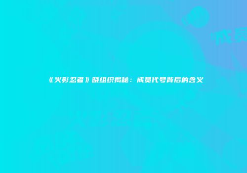 《火影忍者》晓组织揭秘：成员代号背后的含义