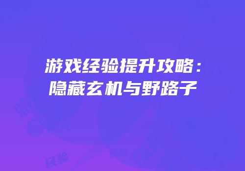 游戏经验提升攻略：隐藏玄机与野路子