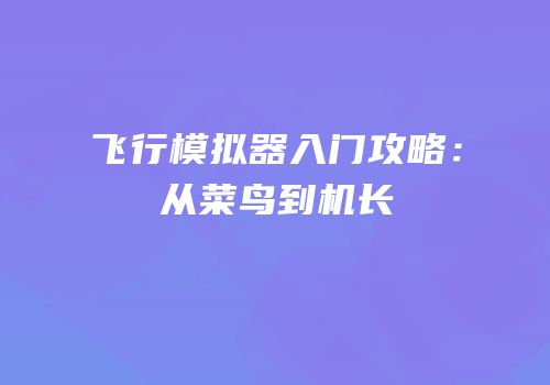 飞行模拟器入门攻略：从菜鸟到机长