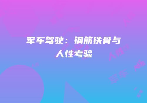 军车驾驶：钢筋铁骨与人性考验
