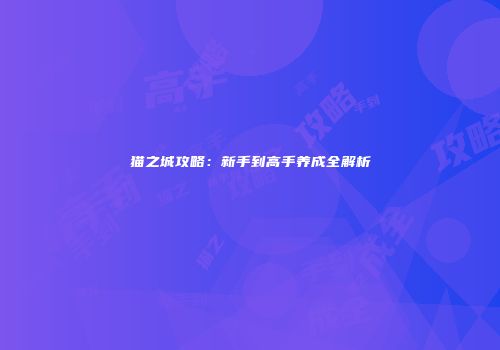 猫之城攻略：新手到高手养成全解析