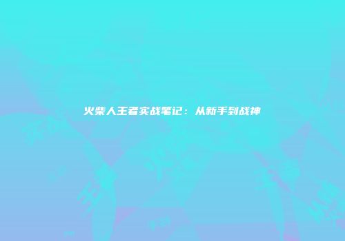 火柴人王者实战笔记：从新手到战神