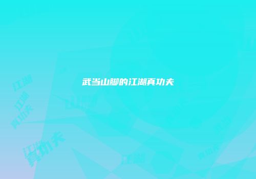 武当山脚的江湖真功夫