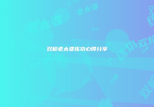 双枪老太婆练功心得分享