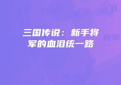 三国传说：新手将军的血泪统一路