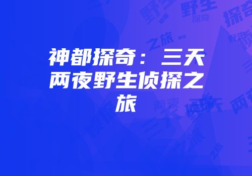 神都探奇：三天两夜野生侦探之旅
