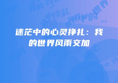 迷茫中的心灵挣扎：我的世界风雨交加