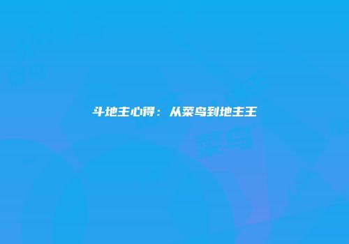 斗地主心得：从菜鸟到地主王