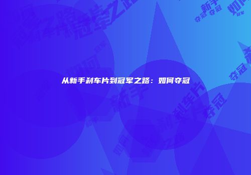 从新手刹车片到冠军之路：如何夺冠