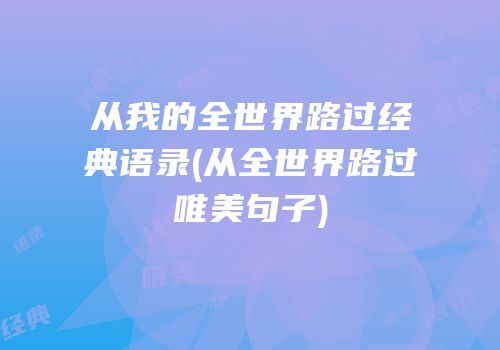 从我的全世界路过经典语录(从全世界路过唯美句子)