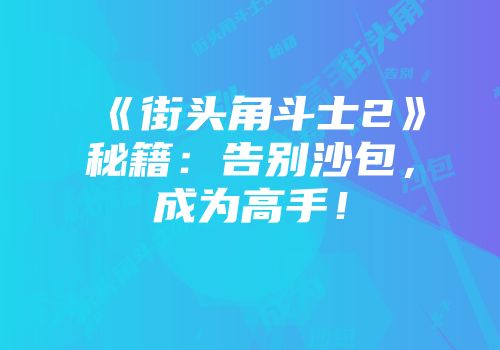 《街头角斗士2》秘籍：告别沙包，成为高手！