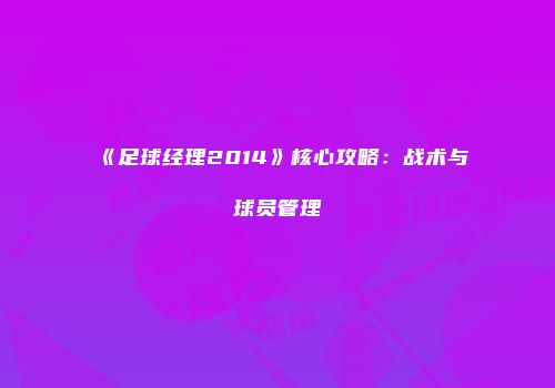《足球经理2014》核心攻略：战术与球员管理