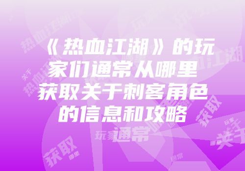 《热血江湖》的玩家们通常从哪里获取关于刺客角色的信息和攻略