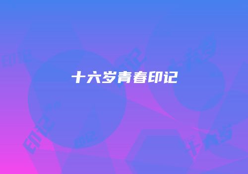 十六岁青春印记