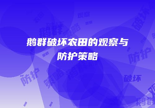 鹅群破坏农田的观察与防护策略