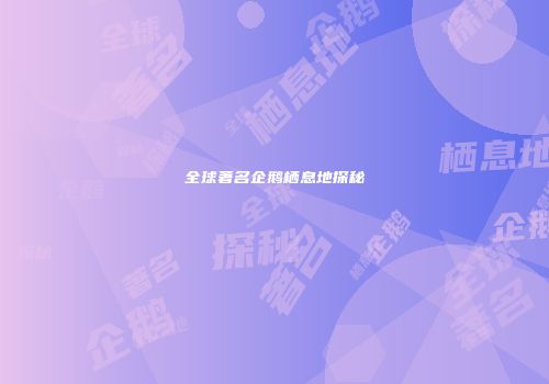 全球著名企鹅栖息地探秘