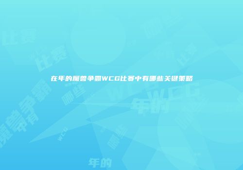 在年的魔兽争霸WCG比赛中有哪些关键策略