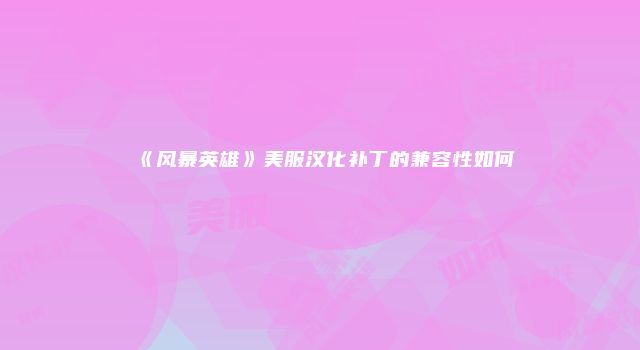 《风暴英雄》美服汉化补丁的兼容性如何