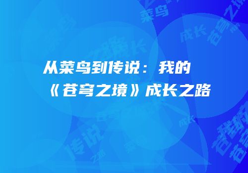 从菜鸟到传说：我的《苍穹之境》成长之路