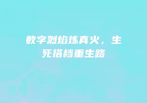 数字烈焰炼真火，生死搭档重生路
