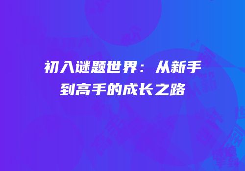 初入谜题世界：从新手到高手的成长之路